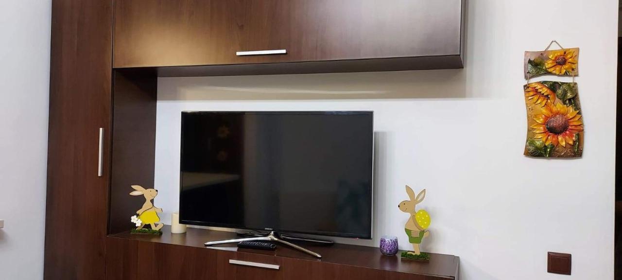 Andi Apartment Sibiu Bagian luar foto