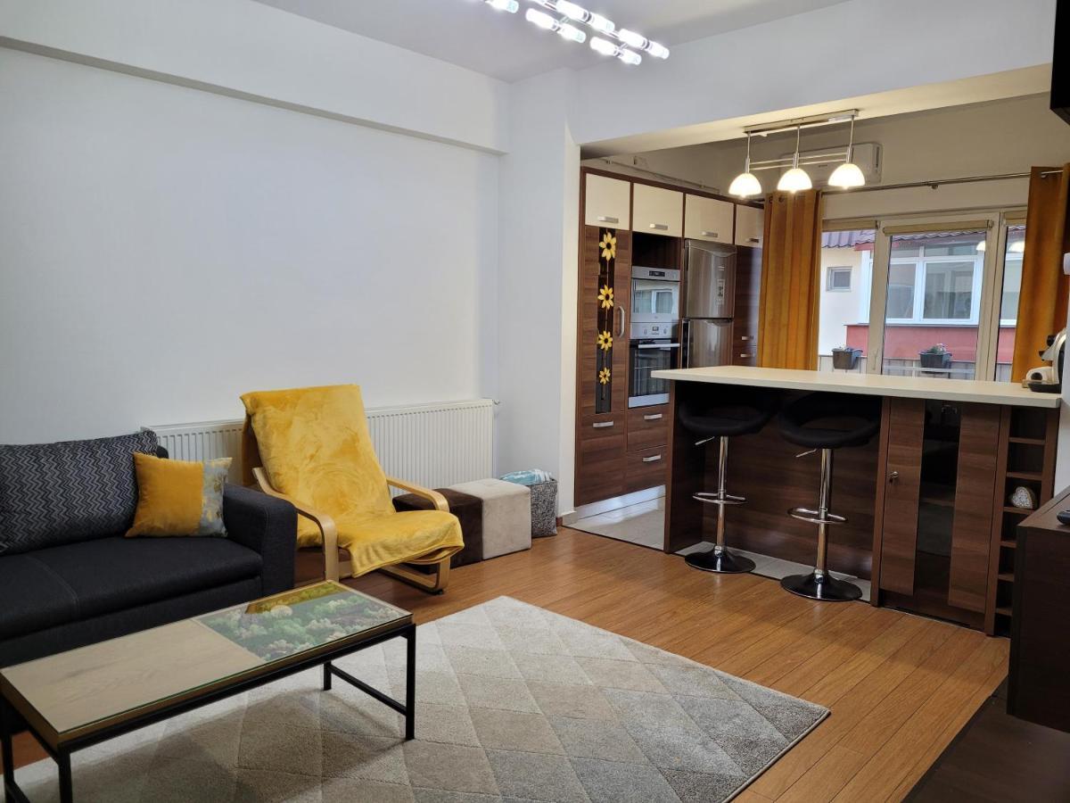 Andi Apartment Sibiu Bagian luar foto